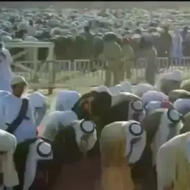 ذكرى وفاة الشيخ زايد بن سلطان آل نهيان ❤️ #الشيخ_زايد_بن_سلطان_بن_آل_نهيان 