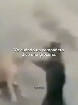 Yo #identificar #estadosparawhatsapp #saquenmedelflop #random #gatitos #fyp #parati #paratiiiiiiiiiiiiiiiiiiiiiiiiiiiiiii #yxxsis #identificarse 