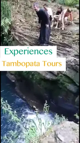 🔝Manu National Park is one of the most beautiful places in the Peruvian jungle. Discover everything this place has to offer and book our Manu tour now. 🌊🌴🦜  Happy Easter Sunday🙌 . . . #natourandes #TravelToManu #ManuRainforestTour #Peru #Manu #Tambopata #manurainforest #amazonas #natgeo #manuparkperu #peruvianjungle #visitperu  #wanderlust #Forest #Nature #amazonperu #easter #pascua #domingodepascoa #domingodepascua #life #fypシ #foryou #viral #viraltiktok 