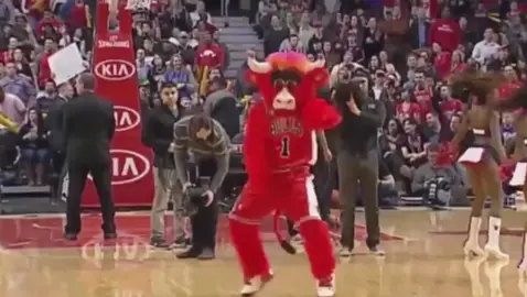 Benny the Bull #bennythebull #chicagobulls #fyp #foryou 