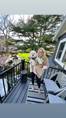 Me and my little easter bunny 🐰🐣🐶#easter #havanese 