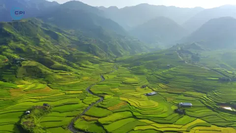 Kì vĩ ruộng bậc thang Mù Cang Chải #ruongbacthang #taybac #khampha #thiennhien #mucangchai #amazing