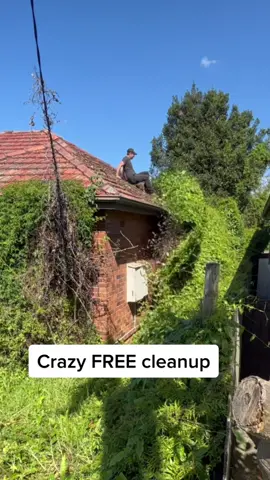 This is the biggest mess I have taken on, so that is saying something! #roofer #house #Home #CleanTok #overgrown #beforeandafter #fyp 