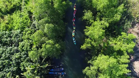 Toàn cảnh chèo Sup Cần Thơ Edit by me Flycam: Tèo  #khoảnhkhac #music #xuhuong #photography #tourism #tiktok #TikTokGiaiTri #natural 