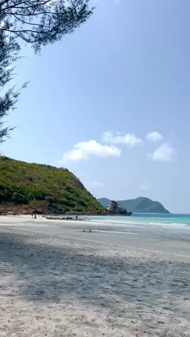 ถ้าไม่รู้จะซบที่ใคร ก็หันมาซบที่เรา เที่ยวด้วยกันนะ #ทะเล #หาดน้ำใส #ธรรมชาติบำบัด #วันหยุดเที่ยวทะเล 