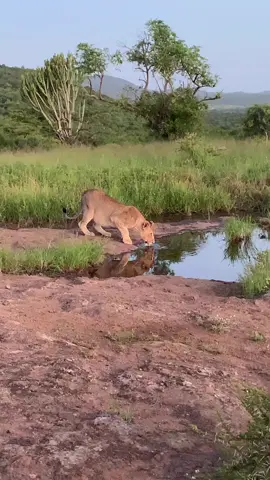 reflection #travelwithkisembo #visituganda #trending 