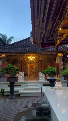 Balik kandang,sampai ketemu di pameran berikutnya 🙏 #bonsai #bonsaibali #bonsaiindonesia #fyp #fypシ 