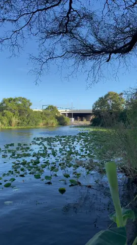 Testing out the new ECU FuelTech ##jetski##jetskilife##jetskilifestyle##jetskis##jetskiworld##yamaha##yamahajetski##yamahagp1800r##yamahagp1800##yamaharacing##1800r##gp1800rsvho##svho##yamahasvho##turbo##turbolife##turbolifestyle##turbolife😈##life##turbo_plus##precisionturbo##e85🌽##fueltech##westpalmbeach##florida##westpalmbeachflorida##hilton#l#lakej#jet