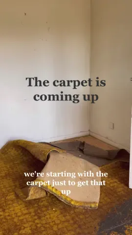 Guys the carpets coming up 🔨 #flatrenovation #apartmentreno #newhomeowners #selfrenovation #homerenovation #renovationproject #carpetremoval 