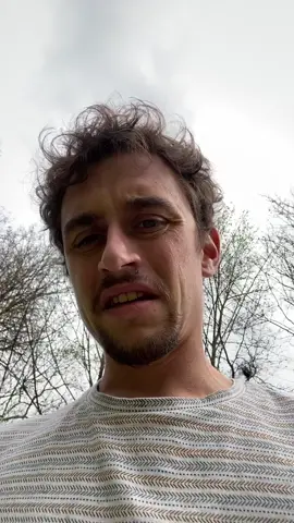 Rencontre avec des pâquerettes sauvage et un chihuahua croisé berger allemand 