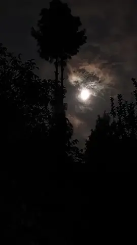 #iklim #charly #storywhatsapp #storytime #cahbintan 