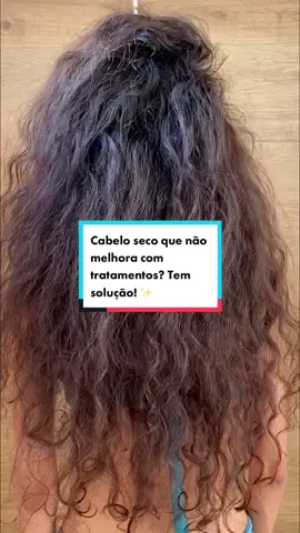 Seu cabelo está MUITO seco e parece que ele não absorve mais os tratamentos? Então provavelmente ele também está com a ✨porosidade alta✨, se liga na dica dos produtos que usei! 🥰 #salonlinebrasil #cachostiktok #cabeloondulado #cachos #onduladonatural 