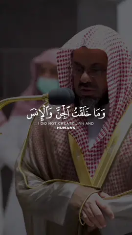 و ما خلقت الجن و الإنس إلا ليعبدون #سعود_الشريم #الحرمين_الشريفين #تلاوة_عذبة #صلاة_التراويح #المدينة_المنورة #مكة #صلاة_الفجر #خشوع #طمأنينه 