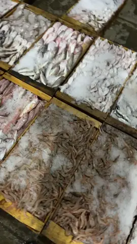 #الحواتا #الحواتا♥️♥️♥️ #مستغانم #وهراني #وهران_الباهية #معسكر #لكورنيش #لكورنيش_وهران #معسكر #oran #wahren #algerie #tiktok #relizane #mostaganem_مستغانم #live #tmenyik_dz #tmeryil_dz #chlef #وهرانية #tebrah #البحر_يتكمfyp #حبابنا_وخوتنا_جام_وابوني_تهلاو #حبابي 