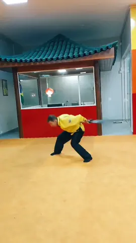Aprenda Kung Fu, Tai Chi Chuan e Chi Kung sem sair de casa