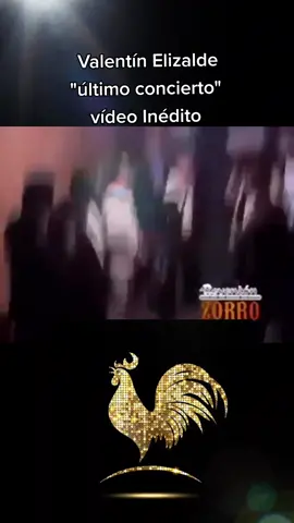 El último concierto que dió Valentín Elizalde 