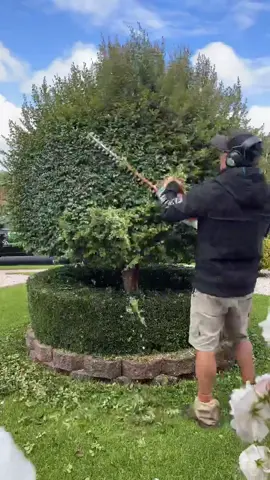 Excellent trimming by @diamond_quality_gardens on insta! 🌳 #viralvideo #aussietok #tiktok4fun #gardentok #asmr #satisfyingvideo #fastforward #fypシ #insta #topiary 