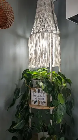 #plant #plants #plantsoftiktok #planttiktok #PlantTok #ifthisisyourvibe #vibes #aroidaddicts #plantcollection #plantsmakepeoplehappy #philodendron #philodendronbrasil 