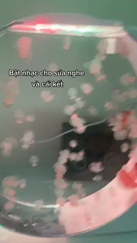 Nó cứ chạy chạy nhìn dễ thương ghê 