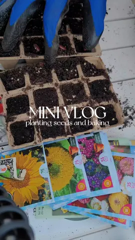 week 5 vlogging: watch me struggle to build the potting table. #silentvlognj #silentvlogusa #silentvlogph #peacefulvlog #silentvlogphilippines #slowlivingforlife #silentvlogphilippines #slowlivingmovement 