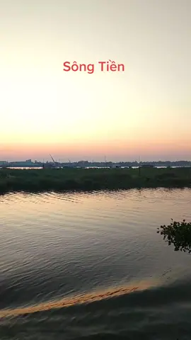Sông Tiền - Địa phận Đồng Tháp #vietnam #TikTokGiaiTri #libytravel #mientay 