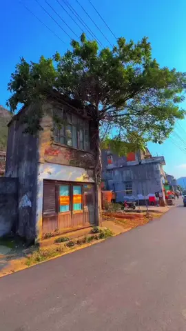 তর্কের চেয়ে নিরবতা শ্রেয় প্রতিশোধ এর থেকে পরিবর্তন এর মূল্য বেশি 🌸 #fyp #fypシ #foryoupage #viral #trending 