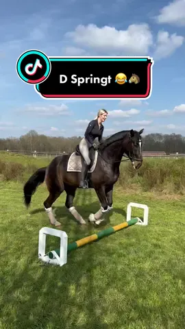 Super spontane Aktion mit @Anja Fee 😂🐴 hat schon bisschen Talent oder? #fy #foryou #equestrian 