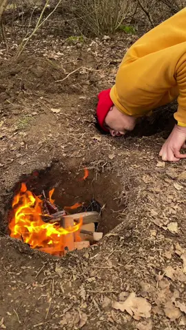Bushcraft skills underground🔥 #survival  #bushcraft  #Outdoors  #camping  #forest 