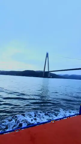 Ngushtica e bosforit