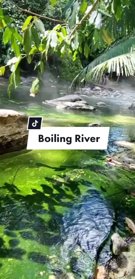 #boilingwater #boilingriverperu #amazonrainforest #labomba #ShanayTimpishka #belikewatermyfriends 
