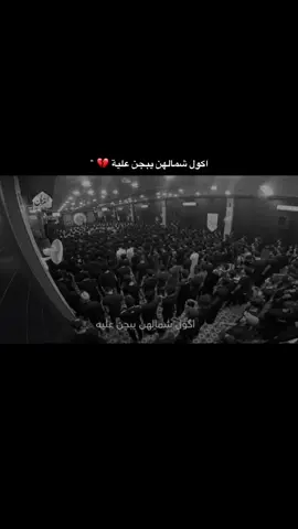 طاح أخر هلي  #سيد_فاقد_الموسوي اكول شكالهن يبجن علية اطفي بنارهن ول نار بية💔 #حسينية_القربان 