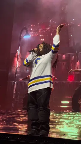 HERE’S TO THE ANNOUNCEMENT OF SOS TOUR LEG TWO!!!! #sza #sos #sostour #sostourchicago #concert #fyp #foryou 