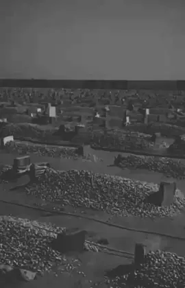 #fyp  #foryou  #foryoupage  #اكسبلور  