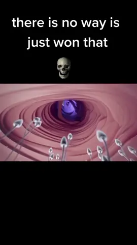 how #spermien #race #viral the last vid hast no sound