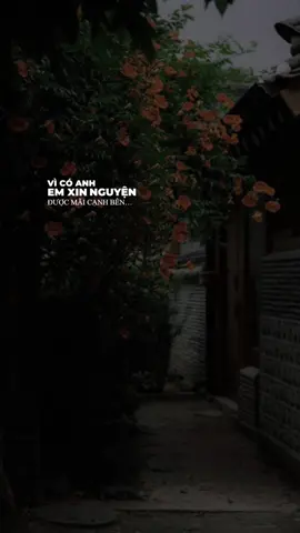 Nghe bài giống bài gì nhỉ, cơ mà hay #lunyentertainment #NguyenYeu #HuongLy #Nhachaymoingay #TikTokGiaiTri #BookTok