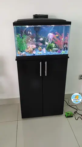 #santodomingo #republicana🇩🇴 #viral #rochyrd #pecera