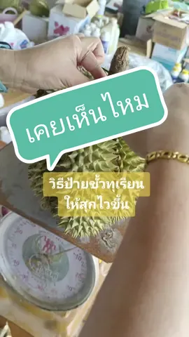 เคยเห็นไหม??? วิธีป้ายขั้วทุเรียน เขาทำยังไงให้ทุเรียนสุกไวขึ้น #ป้ายขั้วทุเรียน #ทุเรียนหมอนทอง #สวนทุเรียนจันทบุรี #รีวิวทุเรียนจันทบุรี #ทุเรียนหมอนทอง #หมอนทองจันทบุรี #รีวิวทุเรียน #ทุเรียน #สวนทุเรียน #เนื้อทุเรียน #tiktokshop #ลูกชาวสวน #คลิปทุเรียน #ขอให้ขึ้นฟีตเถอะ #คนทําสวน #durian #เพาะทุเรียน #เปิดการมองเห็น #สวนทุเรียนสวยๆ #หน้าฟีด #ของอร่อยบอกต่อ #เชียงใหม่อะไรดี 