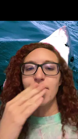 Wtf sharks just got so much cooler 
