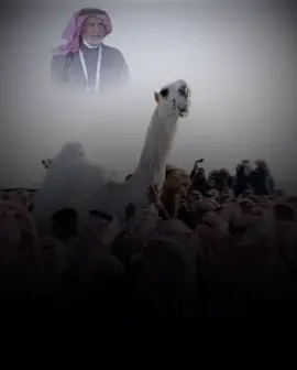الله يرحمك ياجفران المري 💔 #اكسبلور #foryou #fyp #نجد #ابن_قريع #خزامة #رمضان_يجمعنا #الدواسر 