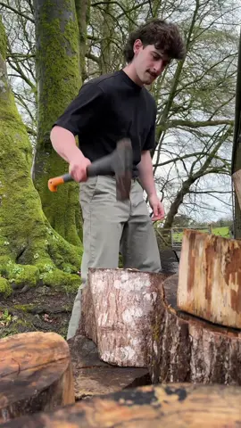 This is the last @Thoren Bradley impression i’ll do i promise #fyp #xyzbca 