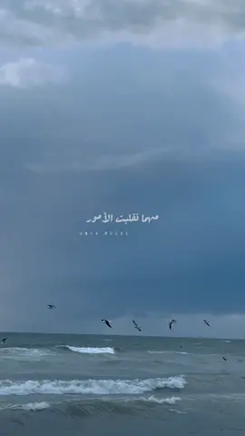 #الخير_آت مهما تقلبت الأمور 🌷 #حمودالخضر #قطر_الخيرية #رمضان_يجمعنا #رمضان_كريم #دعاء #حب 