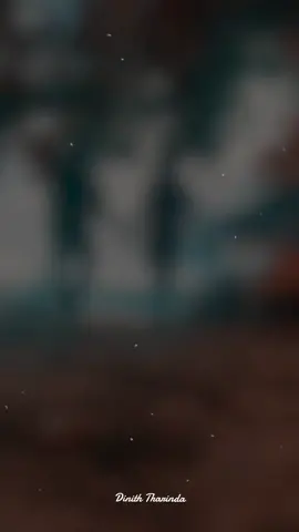 සොඳුරු සීතල යාමේ Short Cover❤🎶 #diniththarinda #dt_music #shortcover #fypシ #viral #whatsappstatus 