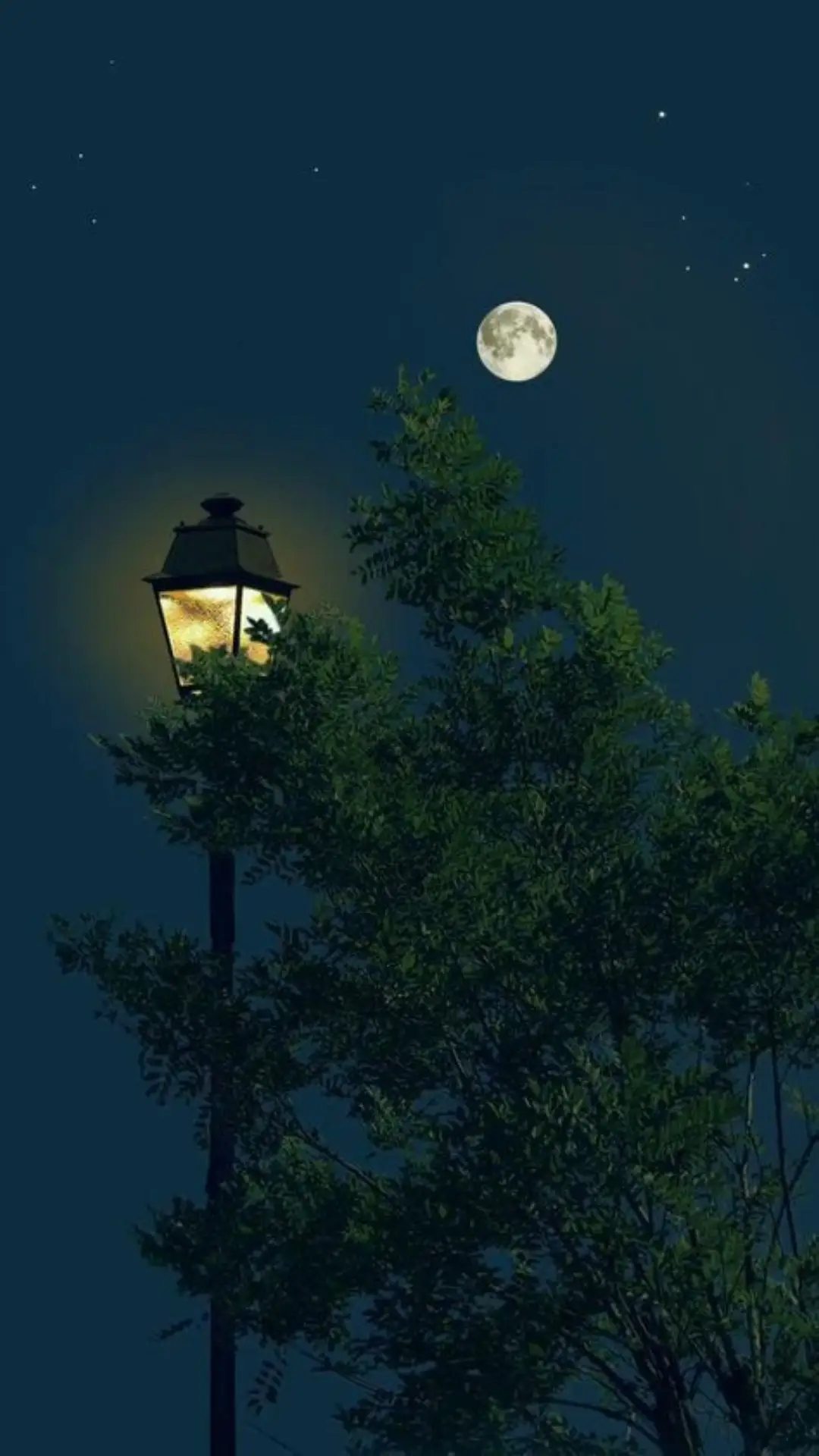 #امين #امين_يارب #لا_اله_الا_الله_🌹 #اللهم_صلي_على_نبينا_محمد💓🕋📿 #لا_اله_الا_الله_محمد_رسول_الله☝🏻،💙،، @✨تيم رسول الله ❤️ ✅ 