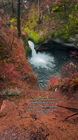 Absolutely Gorgeous Punchbowl Falls. The Burned Forest of Eagle Creek is making a comeback.Slowly but Surely!Nature Always Wins but is extremely fragile. Please respect it. 💚💚🙏🙏#eaglecreekfalls #eaglecreektrail #punchbowlfalls #oregonwaterfalls #waterfallswednesday #natureqoutes #beautifulwaterfalls #hikingoregon #chasingwaterfalls #oregonhikes #eaglecreekfire #pnw #pnwhiking #hikingtok #hikingtiktok #foryou #fyp 