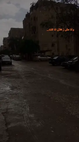 ولقتني هصونها فامنبسطتش 💔