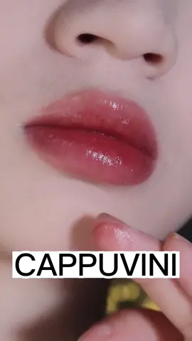 Cappuvini Cheey Pink Mirror Water Lip Gloss lips.which one do you like best?#goodlooking #cheeylips #waterlip #cappuvini #makeup #tutorials #viral #glosslips #fyp #💋💄 