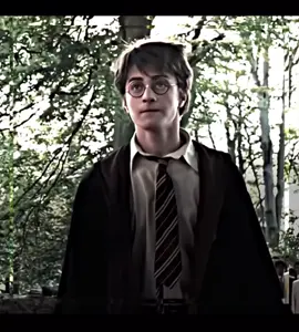 #DRARRY || nice arse, potter -DM ] #danielradcliffe #tomfelton #danieltok #tomtok  #drarry #drarryhq #drarryshipper #draco #dracomalfoy #dracotok #dracotiktok #dracotop #harry #harrypotter #harrytok #harrytiktok #harrybottom #harrymalfoy #purebloodsoc #halfbloodsoc #mudbloodsoc #mugglebornsoc #pureblood #halfblood #mudblood #muggleborn #fyp #foryoupage #xyzba #wizardingworld #viral #hptiktok #hptok #harrypotteredit 