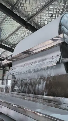 starch slurry vacuum dehydrator starch milk dewatering machine#cassavastarchprocessing 