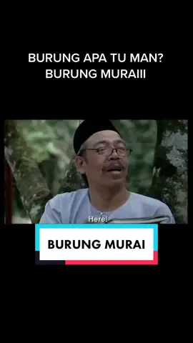 Burung apa? Burung murai  #besihitam #iklanraya #petronas 