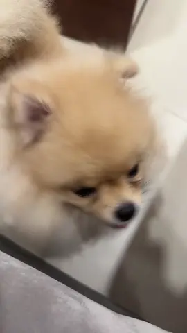 🤣🤣🤣
